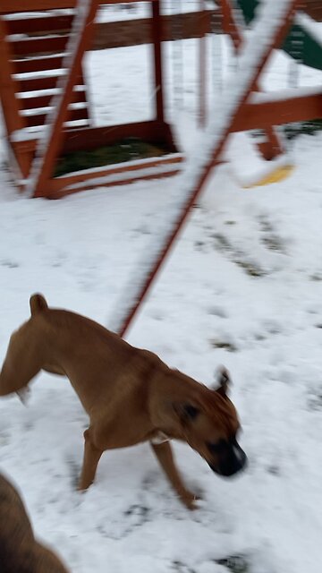 First snow of the year