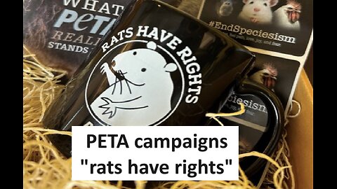 PETA says Rats Have rights protest NY Mayor Eric Adams