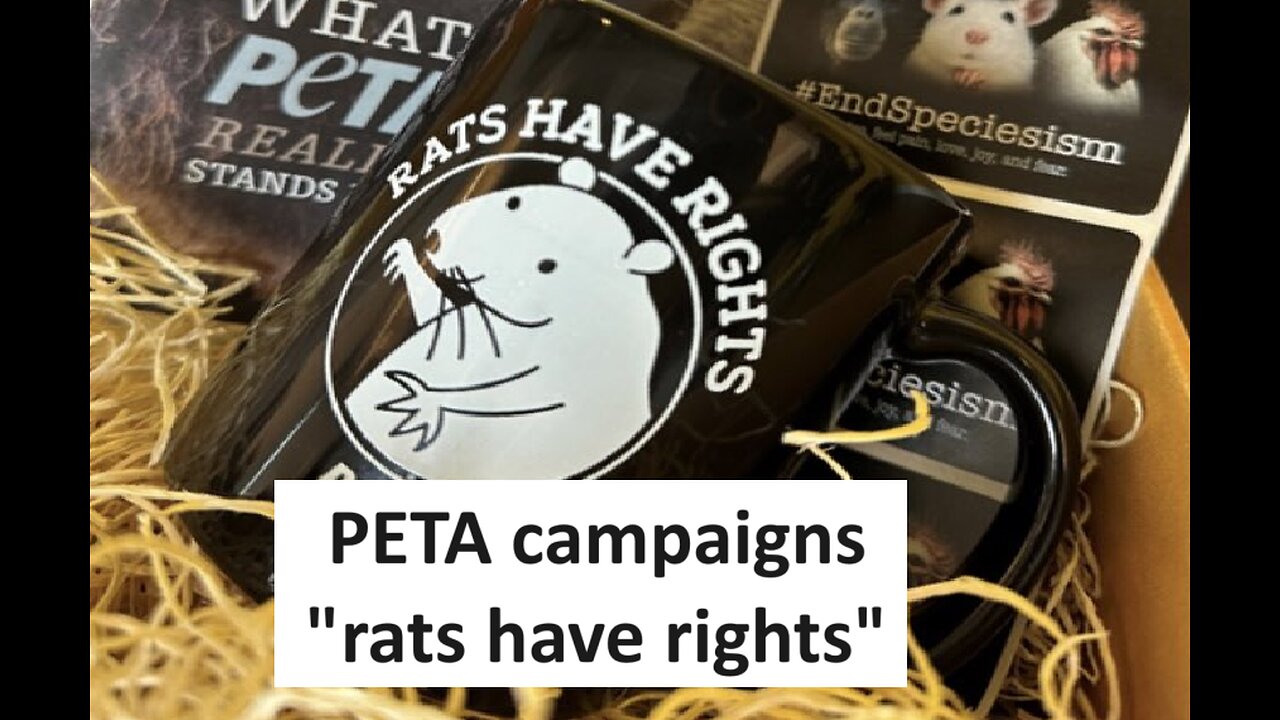 PETA says Rats Have rights protest NY Mayor Eric Adams