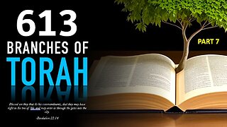 BRANCHES OF TORAH 7