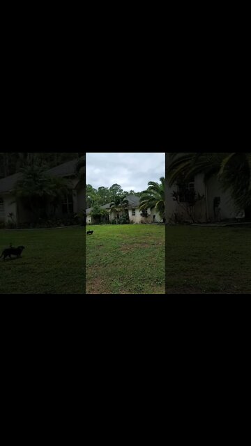 Hurricane Ian 🌀 Final Report