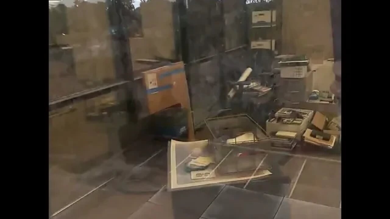 Synergenics; Flash Crash + BRICS Nation + Digital Dollar = Bull Market.