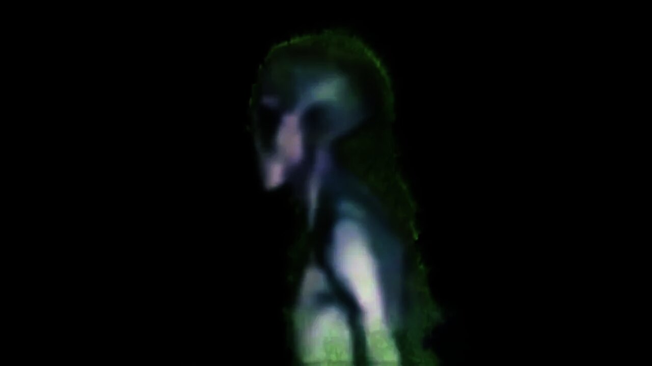 Another Alien on Video at a Government Meeting