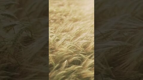 Relaxing Music for Sleep! Welcome to Relaxing Meditation Music
