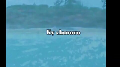 Bocha "Picante" Pereira - Ky chororo