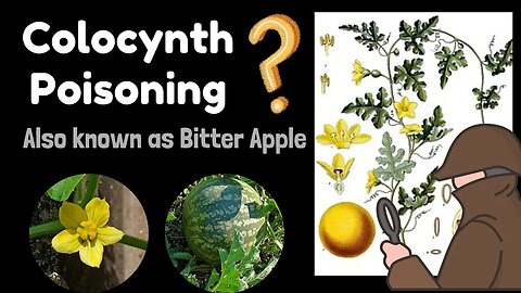 Colocynth Poisoning Explained! | Bitter Apple | Novice Medic