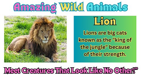 "Meet the Animals: Fun and Friendly Introductions for Kids"