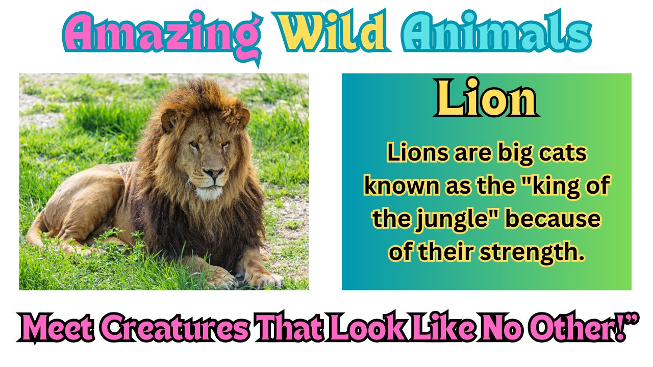 "Meet the Animals: Fun and Friendly Introductions for Kids"