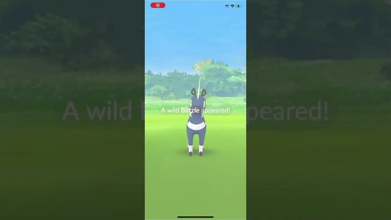 Shiny Compilation