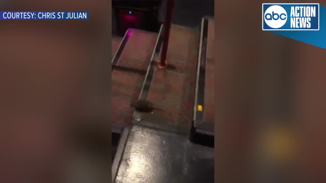 Video shows rat crawling around AMC Sundial 20 movie theater in St. Pete | Video