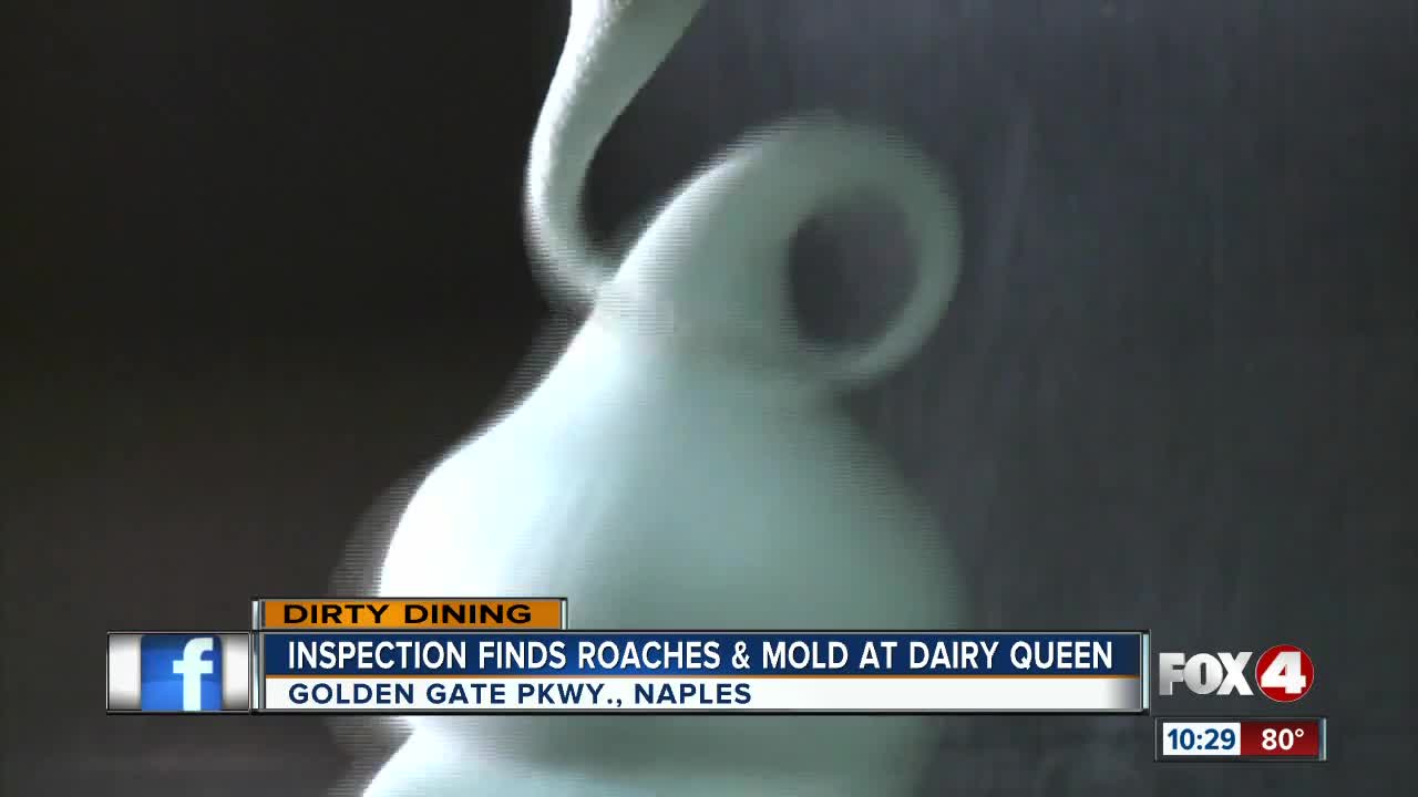 Inspection finds roaches & mold at Dairy Queen