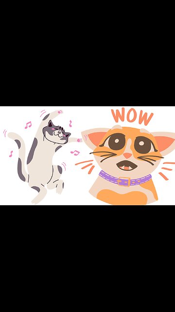 Funny animal videos|Cute animal videos |Funny rabbit videos|Lovely pet videos|funny video