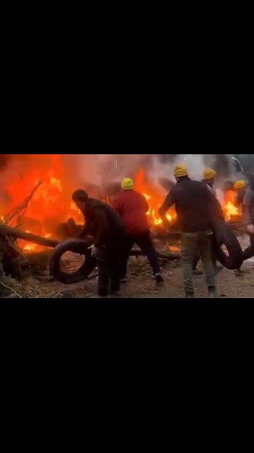 French farmers are going to great lengths to bring Macron's WEF government to its its knees.