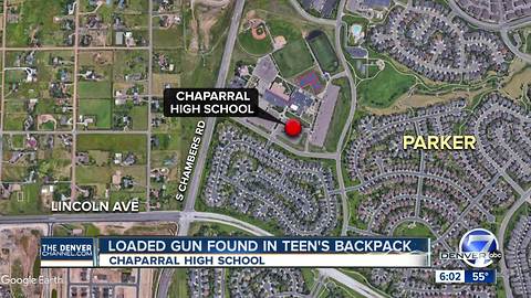 Juvenile in possession of loaded gun at school