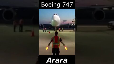 Boeing 747 x Arara #shortsvideo #shorts #plane