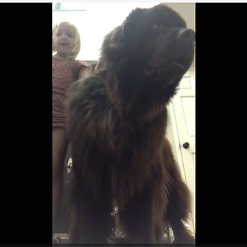 Little Girl’s Magic Trick Involves Adorable Canine Assistant