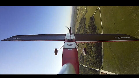 These Wings Change Shape As They Fly... And They Could Change Flight Forever