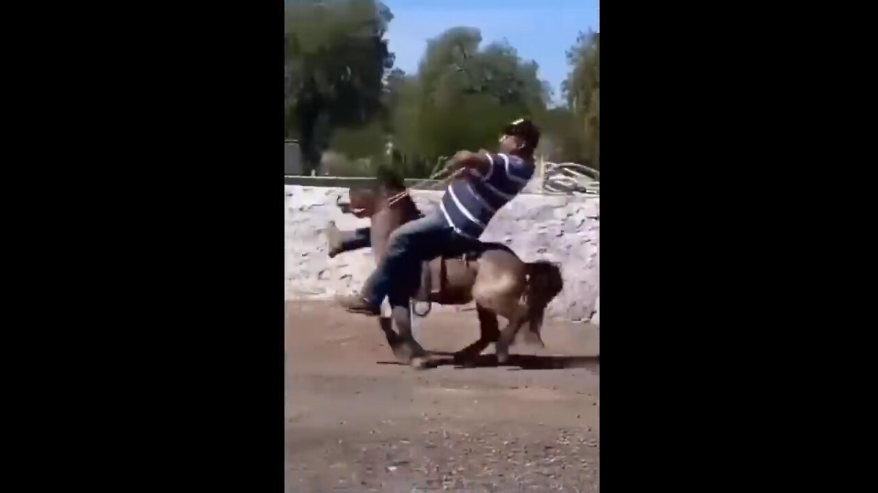 TRY NOT TO LAUGH 😆 Best Funny Videos Compilation 😂😁😆 Memes PART 156