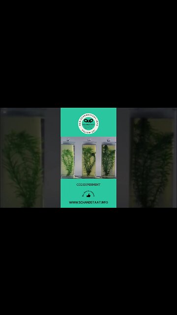 Sehenswertes CO2 Experiment