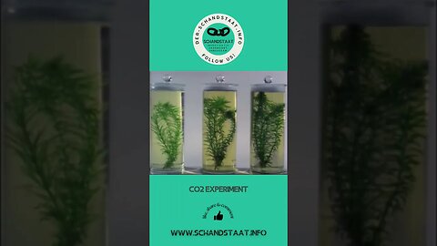 Sehenswertes CO2 Experiment