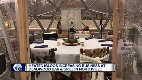 Dining in igloos? It's the new trend hitting metro Detroit restaurants