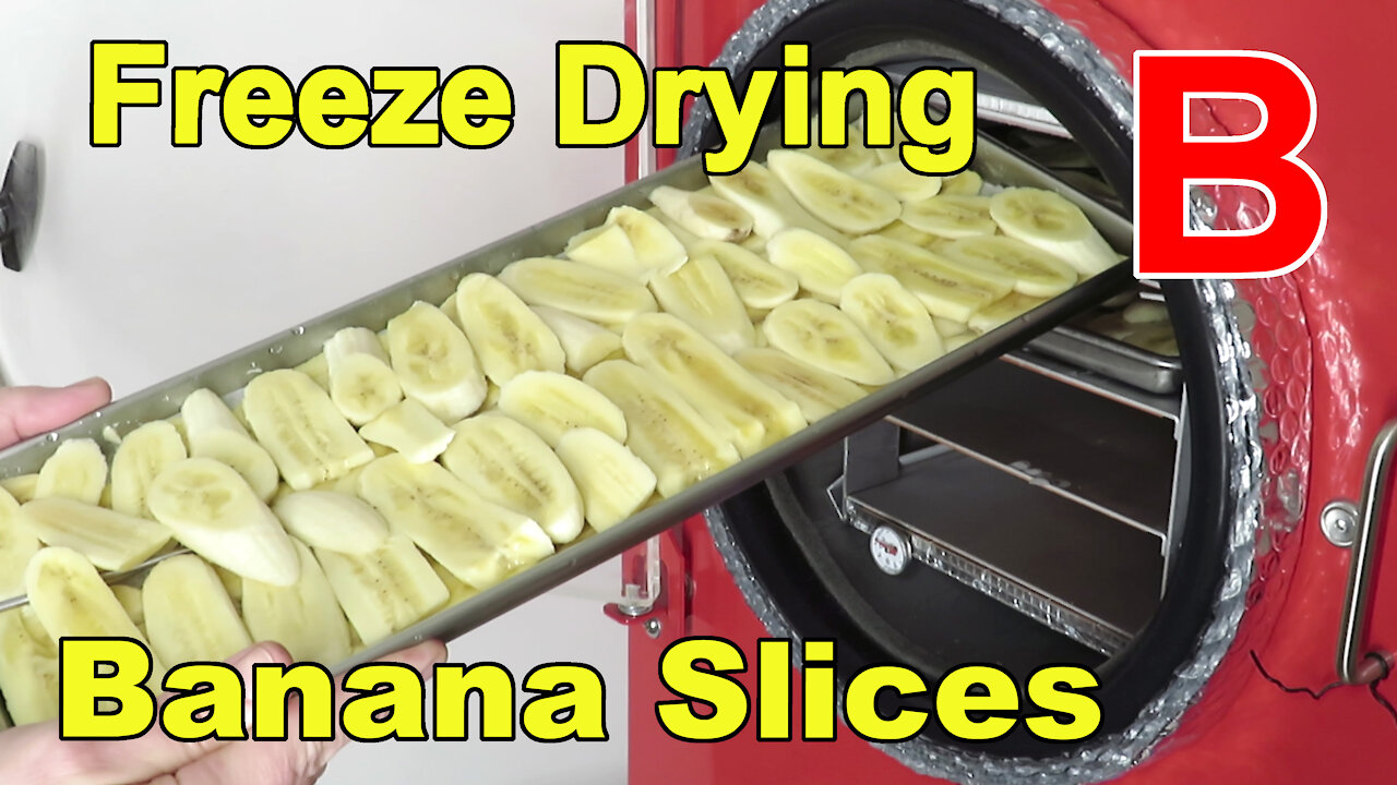 Freeze Drying More Banana Slices