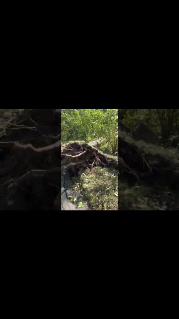 Hurricane Fiona 2022 Canada