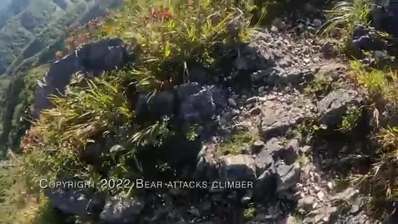 A rock climber in Japan fights off an attacking bear on video.