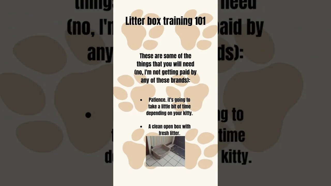 Cat litter box training 101!