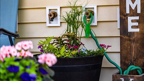 The Container Gardening Project - The Final Set of Containers