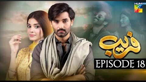 Fareb - Episode 18 - 02th Sep 2023 - [ Zain Baig, Zainab Shabbir , Maria Wasti ] HUM TV