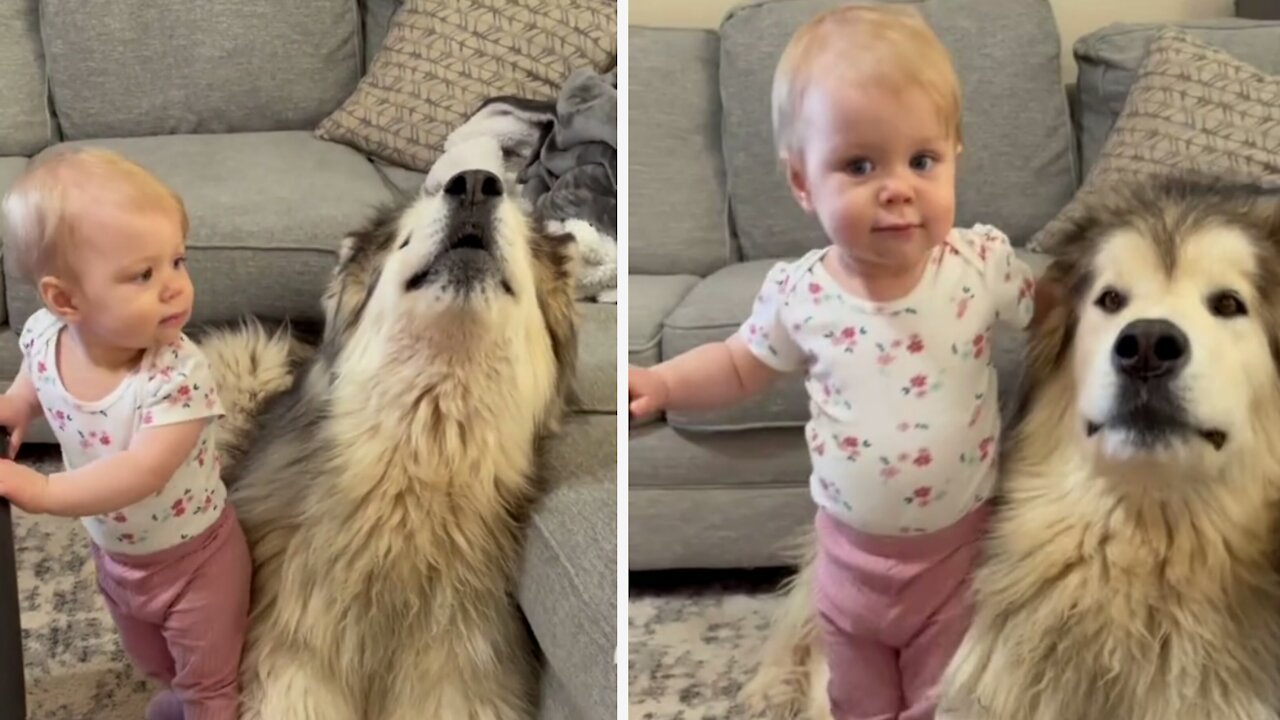 Baby And Dog Are Best Friends Forever