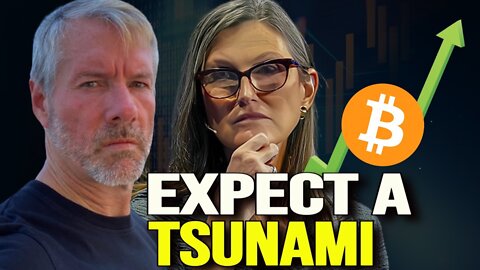 The Coming Bitcoin Bounce Will Be Epic - Michael Saylor & Cathie Wood