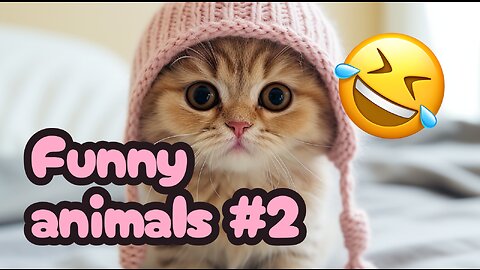 Funny Animals Compilation #2 - #Pets&Giggles #Animals #funny