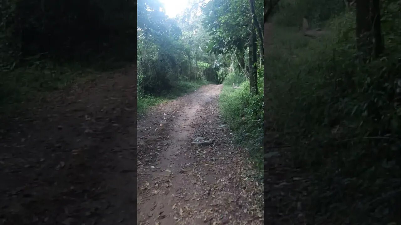 PEDRA GRANDE NO MEIO DA ESTRADA CAMINHADA SOLITÁRIA