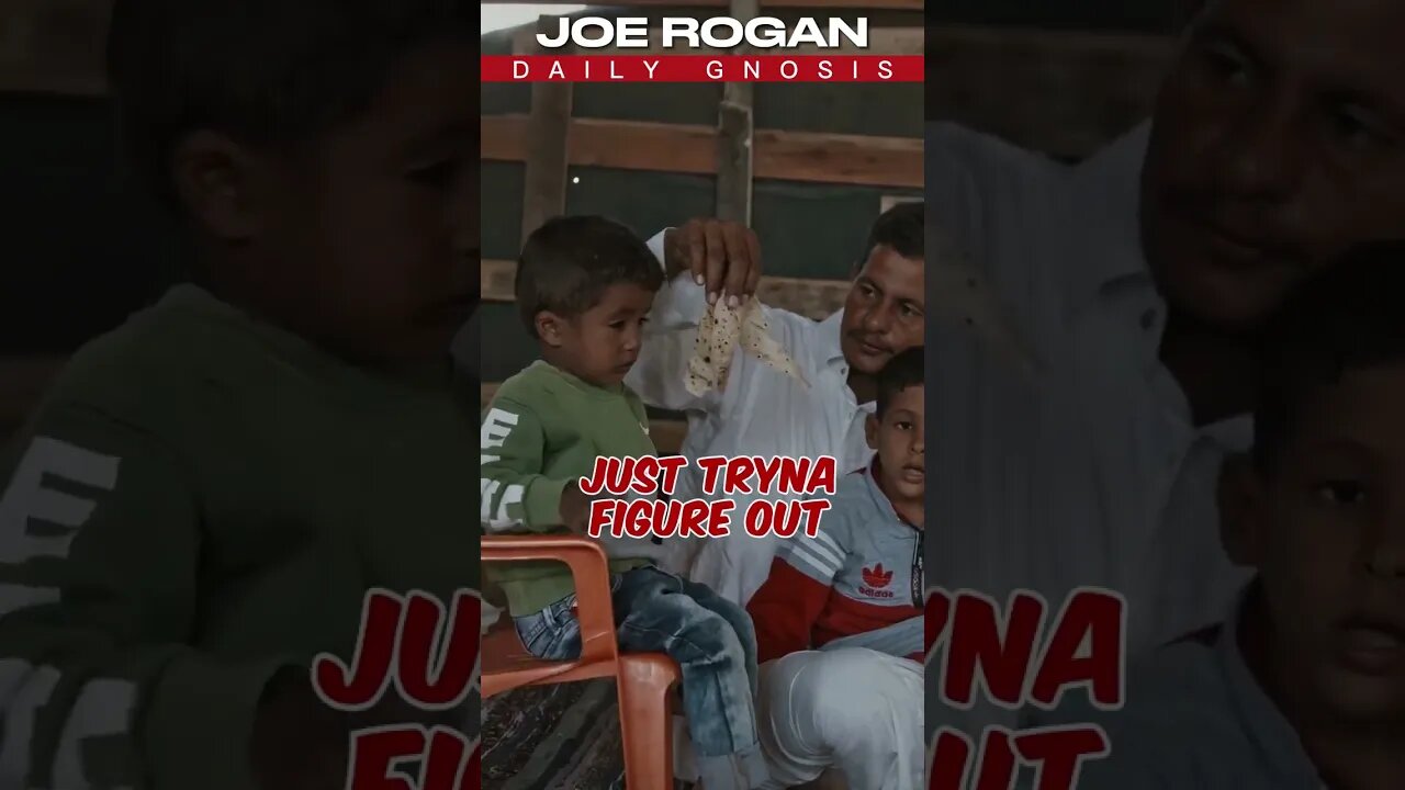 The Rich and the Poor - Joe Rogan #shorts