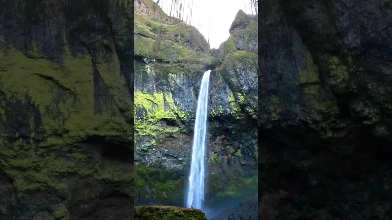 Elowah Falls hidden away #shorts. #waterfall