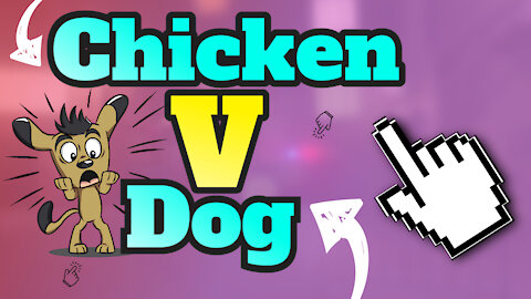 Chicken V Dog Fight - Who Wins!!!!!!