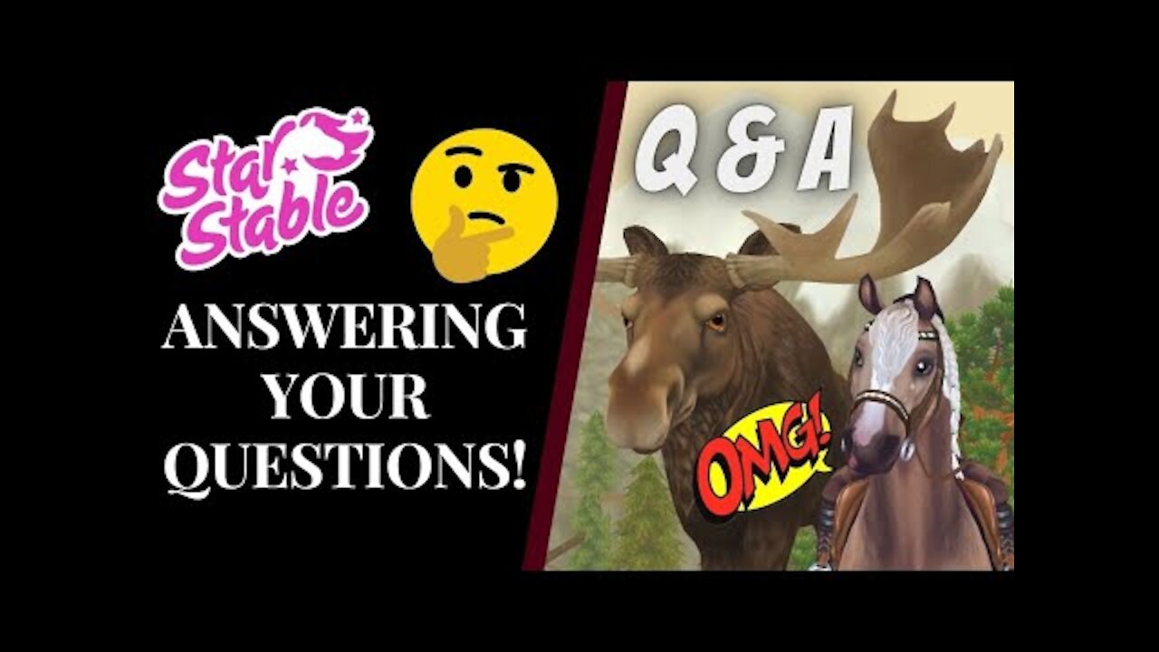 What Do I Look For In MQ's Members? Answering YOUR Questions! Star Stable Quinn Ponylord