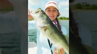 Big Largemouth Caught on a Crankbait - Fishing in Florida #shorts