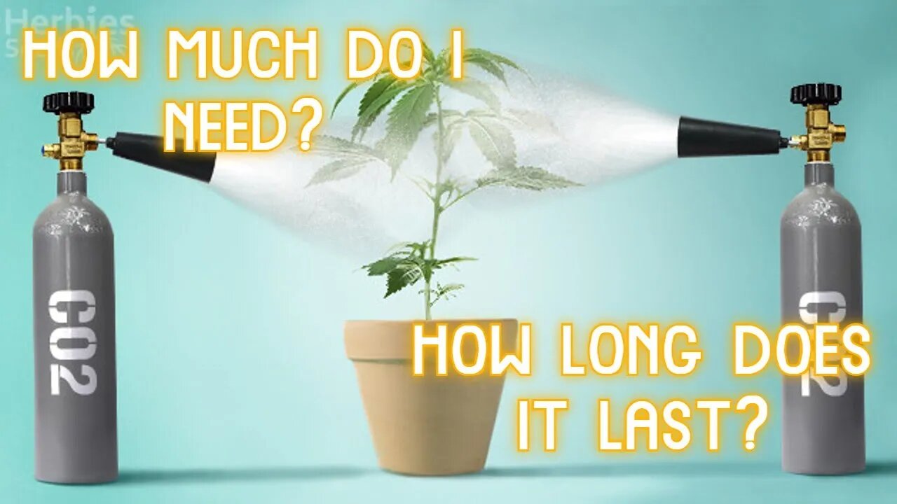 How Long Does a CO2 Tank Last? How Much Does It Cost? How To Increase CO2 for Free!