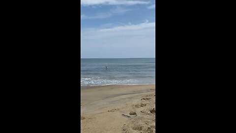 Dolphins swimming off the Ferris Ave beach access