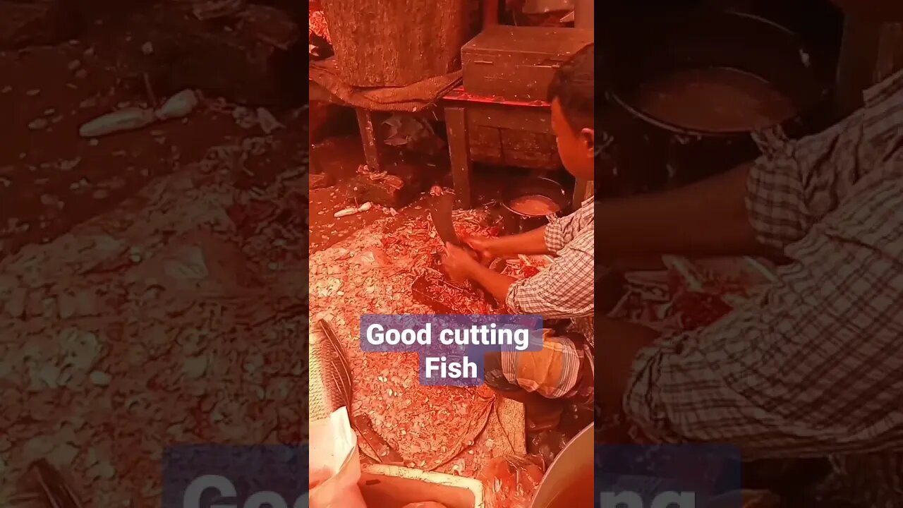 fish cutting so sweet