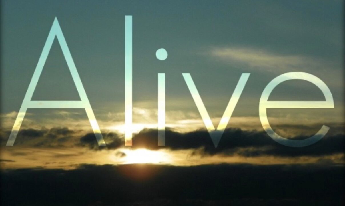 Still Alive 2