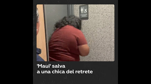 ‘Maui’ derriba puerta en Mcdonald’s para rescatar a amiga atascada