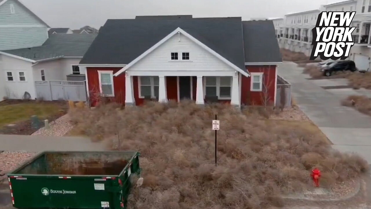 Unbe-weed-able! Tumbleweeds take over Utah town