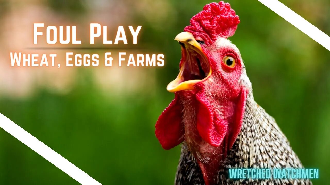 Foul Play: Wheat, Eggs & Farms