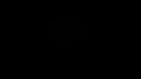 How to pronounce environmentalist