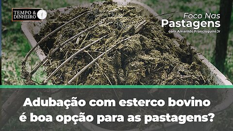 Adubação com esterco bovino, é boa opção para as pastagens? Saiba agora no Foco nas Pastagens.