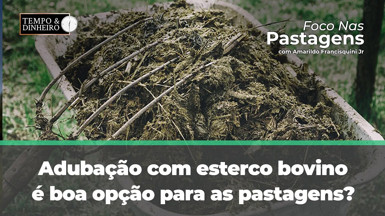 Adubação com esterco bovino, é boa opção para as pastagens? Saiba agora no Foco nas Pastagens.